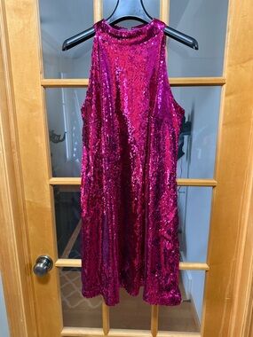 Ann Taylor Fuchsia Sequin Shift Dress